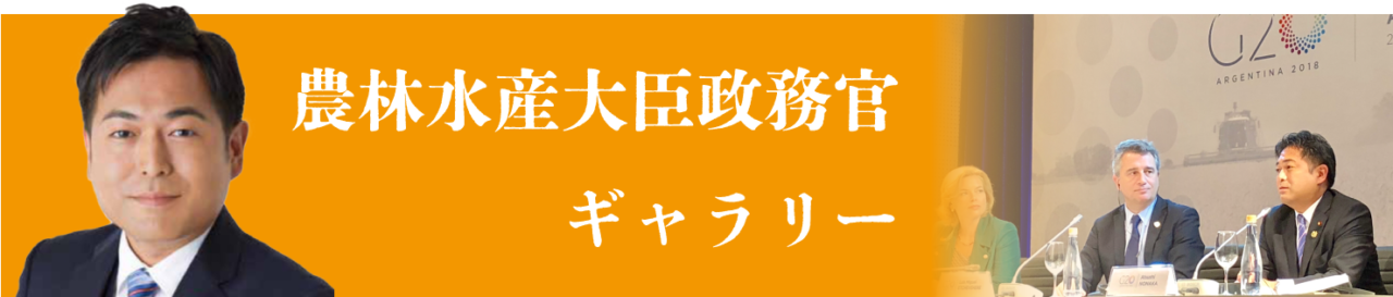 農林水産大臣政務官バナー